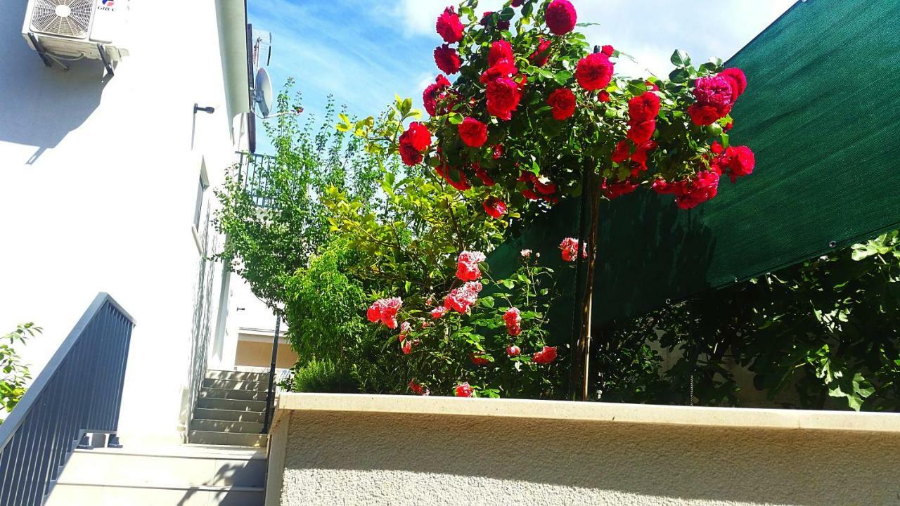 Adriatic Pearl Korcula Apartments Εξωτερικό φωτογραφία